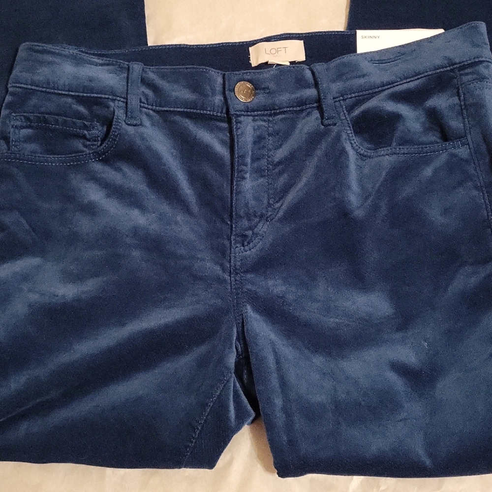 Loft Size 6 Turquoise Velour Pants